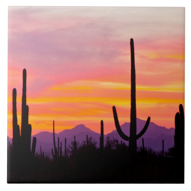 Carreau Forêt de Cactus du Saguaro au coucher du soleil (Devant)