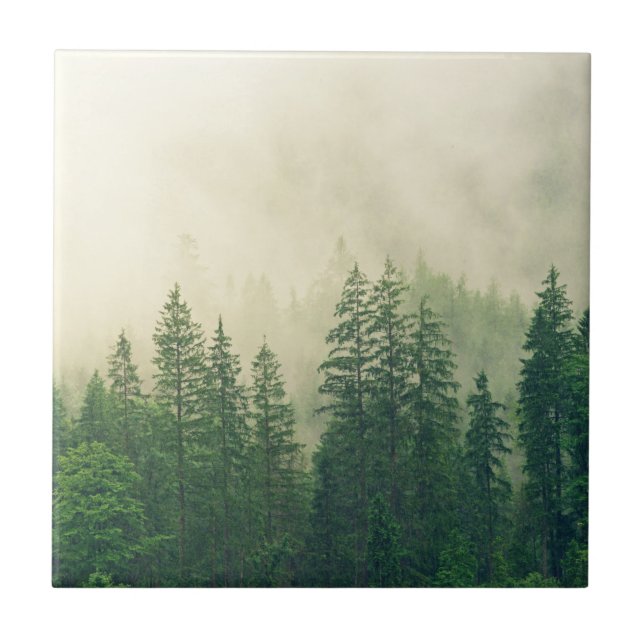 Carreau Forêt de Foggy Arbres d'hiver (Devant)