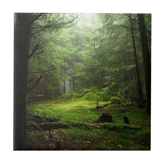 Carreau Forêt de Sterious (Devant)