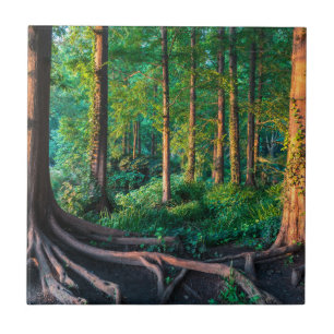 Carreau Forêt en été