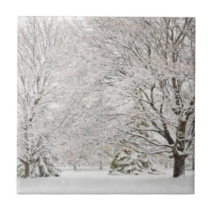 Carreau Forêt hivernale neige