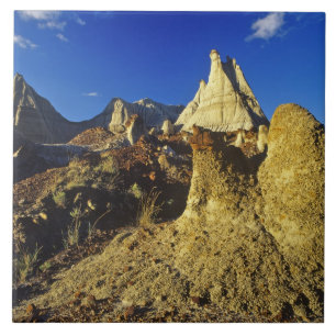 Carreau Forêts de Badlands dans le parc provincial Dinosa