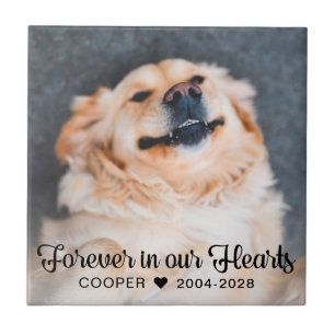 Carreau Forever in our Hearts Pet Memorial Photo Plaque