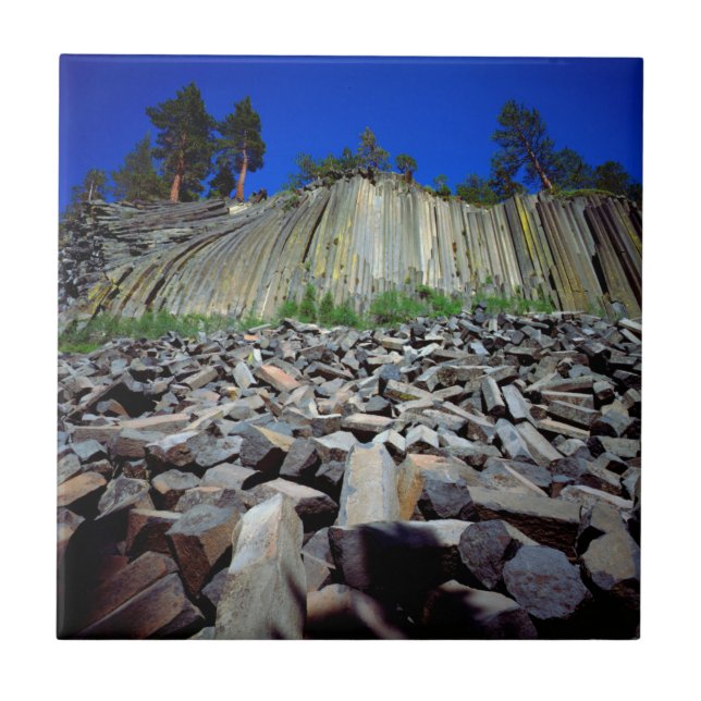 Carreau Formations basaltiques du Postpile de Devils (Devant)