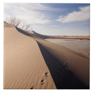 Carreau Formations de dunes de sable. Parc d'État des dune