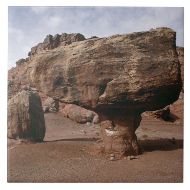 Carreau Formations de roche en canyon de marbre, Utah (Devant)