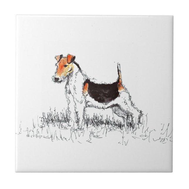 Carreau Fox Terrier (Devant)