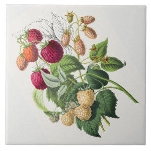 Carreau fraise vintage