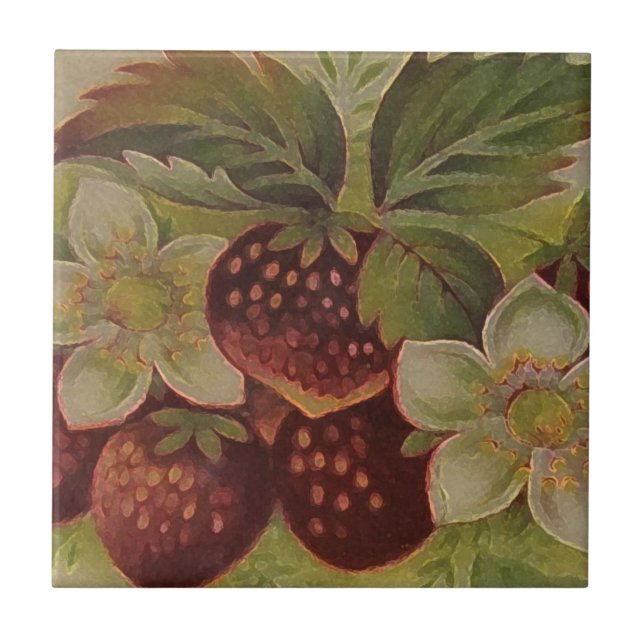 Carreau Fraises (Devant)