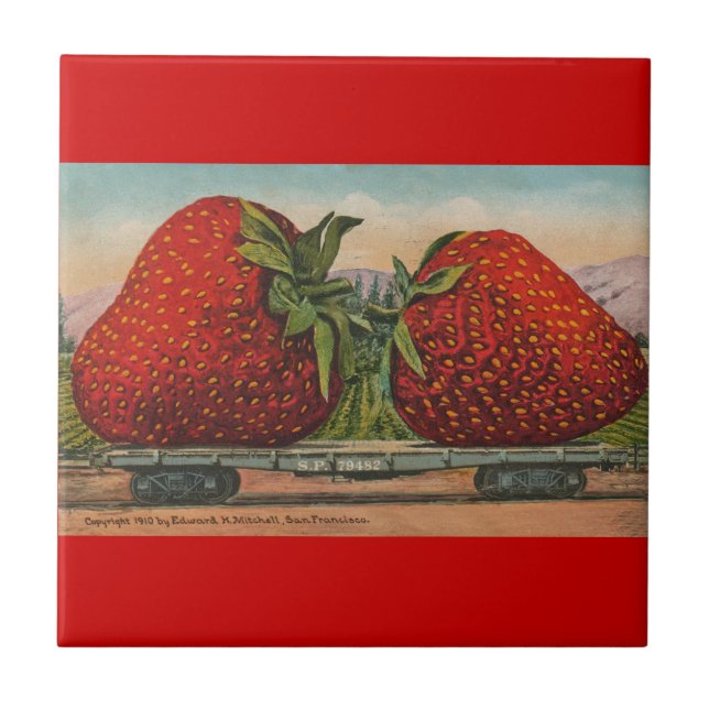 Carreau Fraises Giant Fruit Antique Fruit Amusant (Devant)