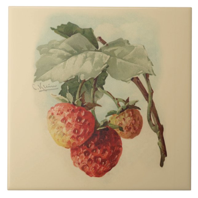 Carreau Fraises vintages (Devant)