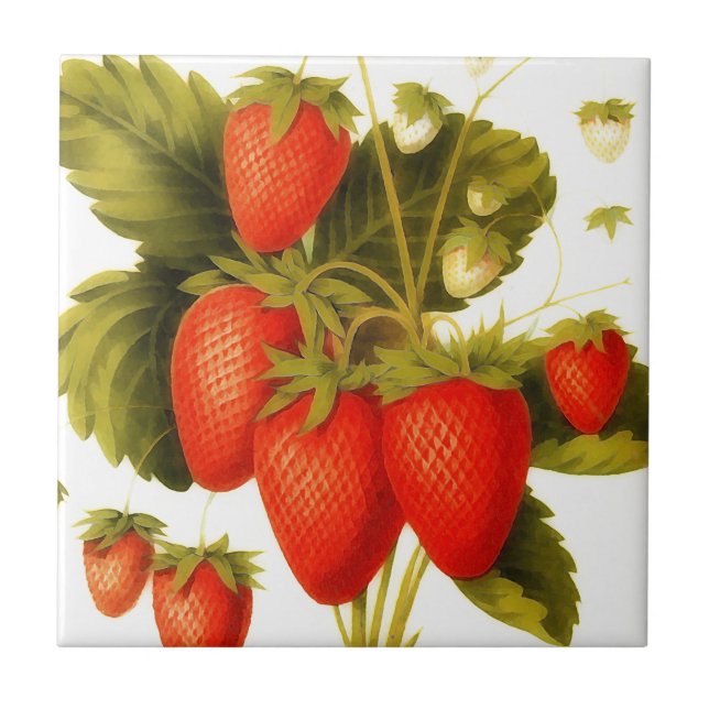 Carreau Fraises vintages aux feuilles verts (Devant)