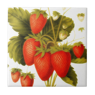 Carreau Fraises vintages avec le feuille vert