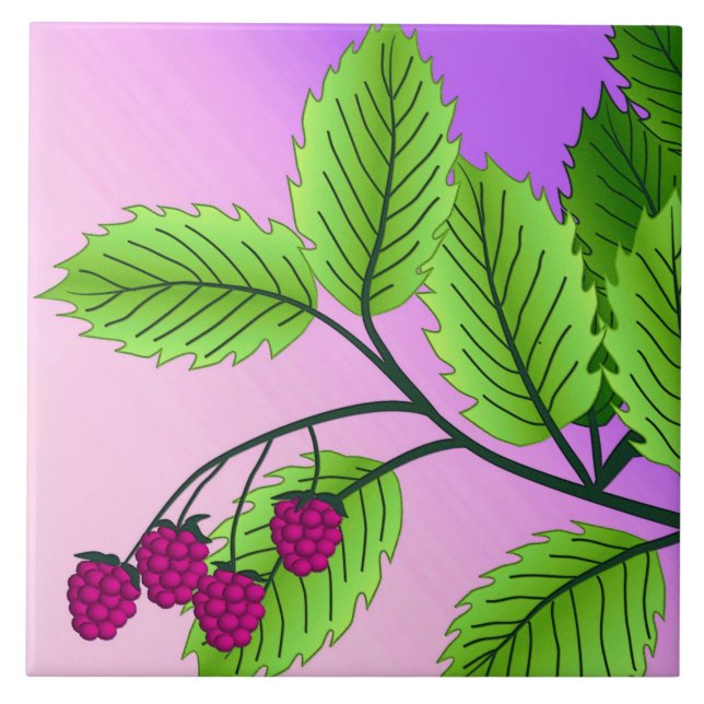 Carreau Framboises sur une branche (Devant)