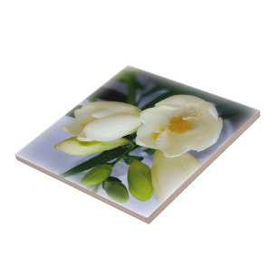 Carreau frénésie jaune blanc