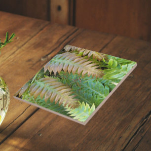 Carreau Fronds floraux de fern à chaîne