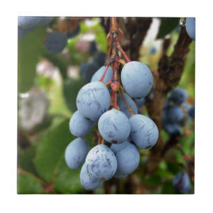 Carreau Fruit de prunellier