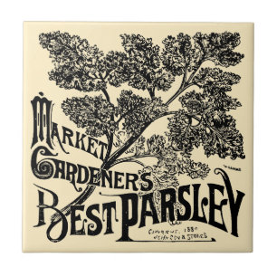 Carreau Fruit et persil végétal vintage de l'époque victor