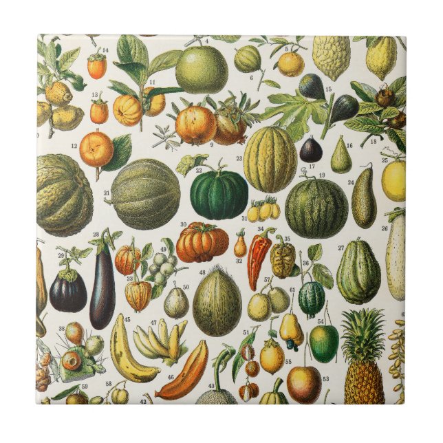 Carreau Fruits et légumes  (Devant)