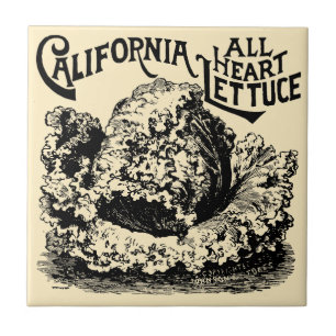 Carreau Fruits et légumes de l'époque victorienne vintage