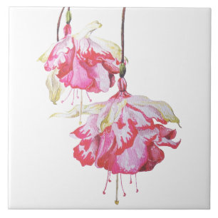 Carreau Fuchsias exotiques sur carrelage en céramique