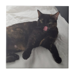 Carreau Fun chat photo avec la langue dehors, tuiles