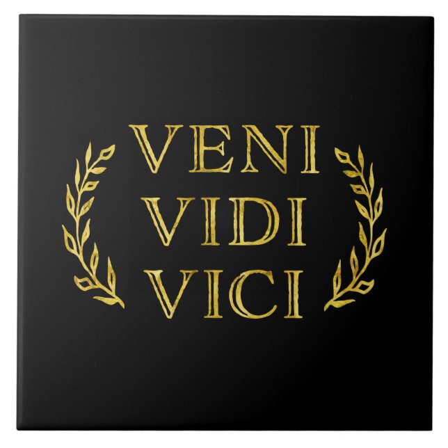 Carreau Gagnant drôle de jeu de Veni Vidi Vici (Devant)
