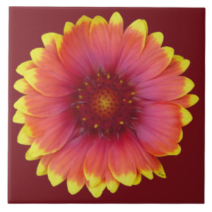Carreau Gaillardia 1