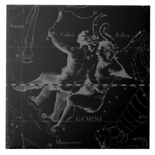Carreau Gemini Constellation Map 1690