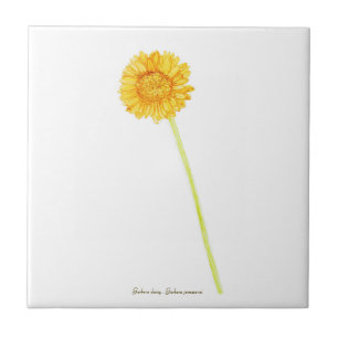 Carreau Gerbera