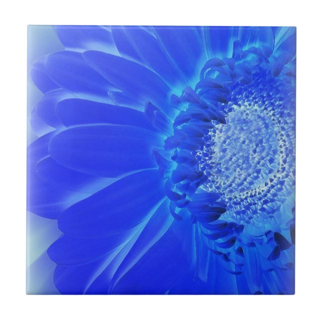 Carreau gerbera bleu électrique (Devant)
