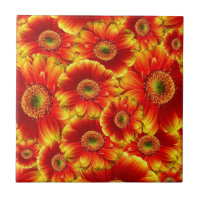 Gerbera Daisies