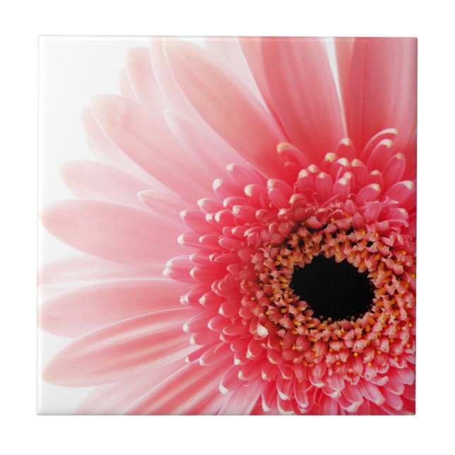 Carreau Gerbera Rose Daisy (Devant)