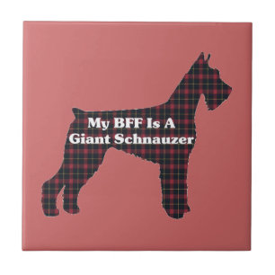 Carreau Giant Schnauzer BFF