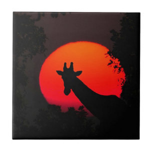 Carreau Girafe
