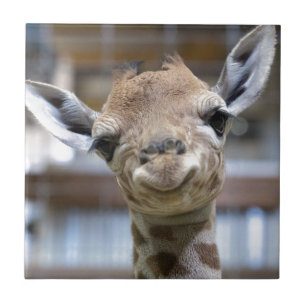 Carreau girafe mignonne de bébé