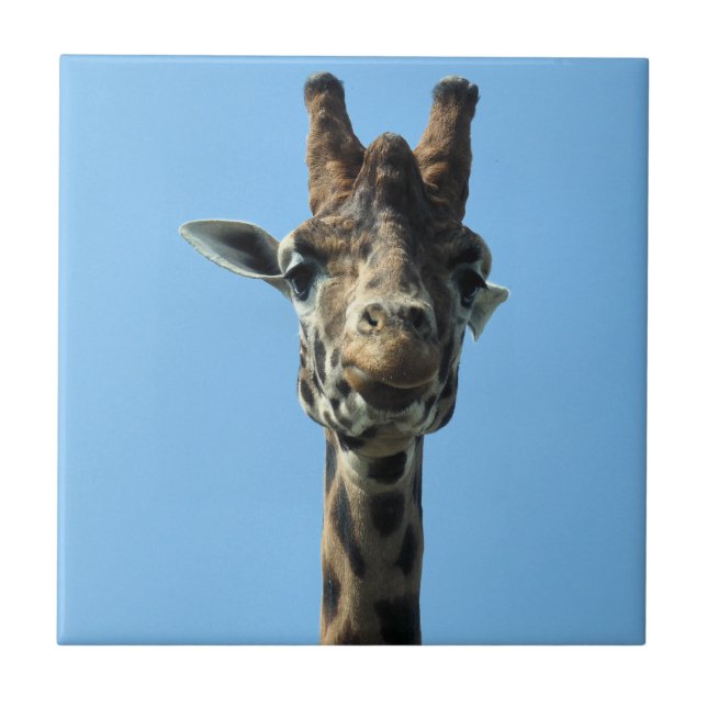 CARREAU GIRAFFE (Devant)