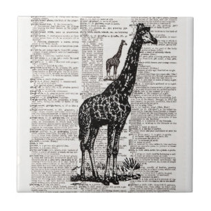 Carreau Giraffe Dictionnaire