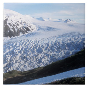 Carreau Glacier Exit dans le parc national des fjords de K