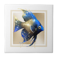 Glam or ange poisson bleu marine récif marin