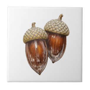 Carreau Glassy Acorns