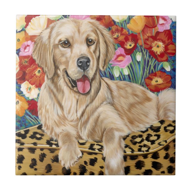 Carreau Golden Boy Retriever (Devant)