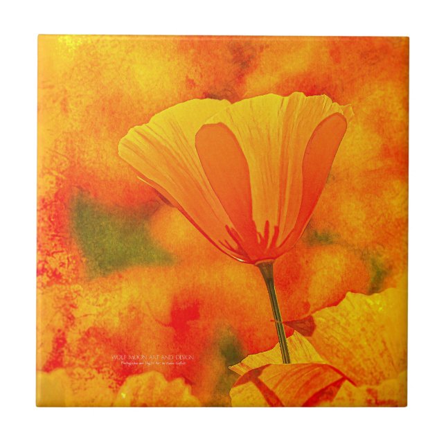 Carreau Golden Orange California Poppy "Terre D'Orange" (Devant)