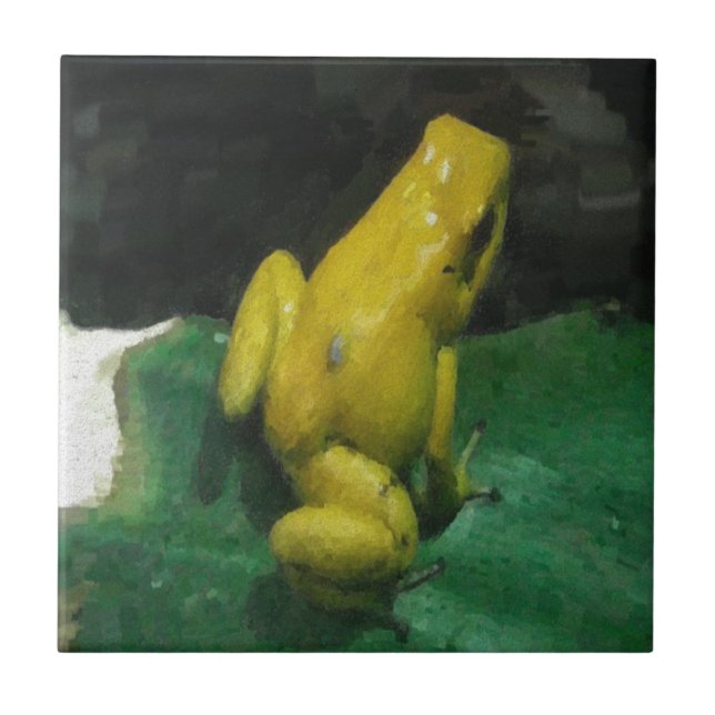 Carreau Golden Poison Dart Frog/Phyllobates terribilis (Devant)