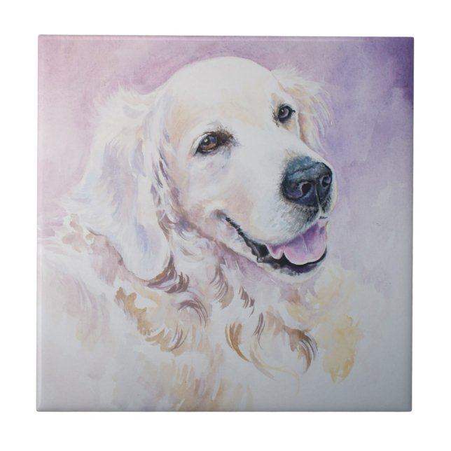 Carreau Golden retriever (Devant)