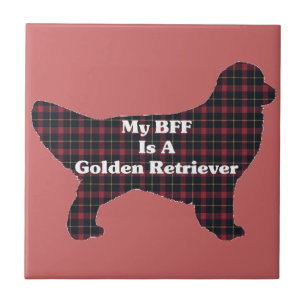 Carreau Golden Retriever BFF