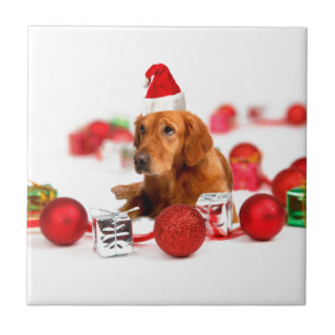 Carreau Golden Retriever Chien W Red Santa Chapel Noël