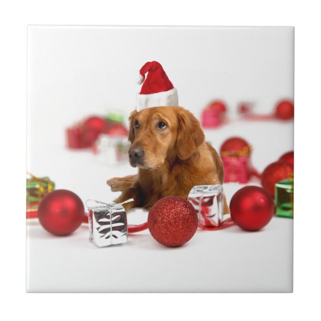 Carreau Golden Retriever Chien W Red Santa Chapel Noël (Devant)