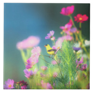 Carreau Goldfinch et Coreopsis américains