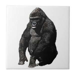 Carreau Gorilla